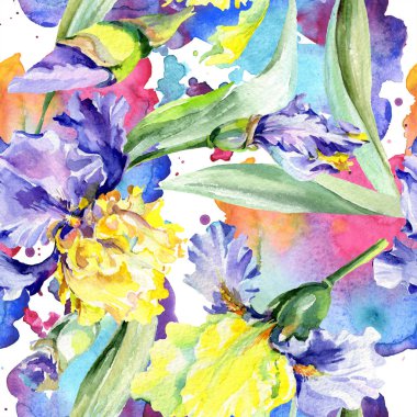Mor sarı iris. Çiçek botanik çiçek. Yabani bahar yaprağı kır çiçeği izole. Suluboya arka plan illüstrasyon seti. Suluboya çizim moda aquarelle izole.