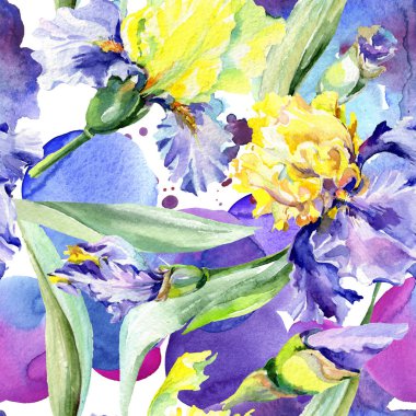 Mor sarı iris. Çiçek botanik çiçek. Yabani bahar yaprağı kır çiçeği izole. Suluboya arka plan illüstrasyon seti. Suluboya çizim moda aquarelle izole.