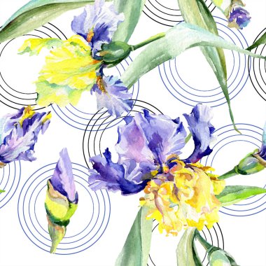 Mor sarı iris. Çiçek botanik çiçek. Yabani bahar yaprağı kır çiçeği izole. Suluboya arka plan illüstrasyon seti. Suluboya çizim moda aquarelle izole.
