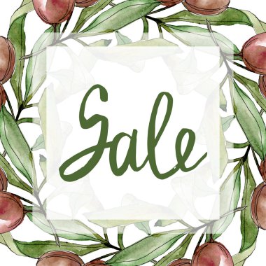 Siyah zeytin suluboya arka plan illüstrasyon. Suluboya yeşil yaprak çizim. Kare kare. Satılık kaligrafi