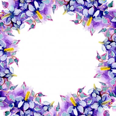 Buket botanik çiçek. Vahşi bahar yaprak izole kır çiçeği. Suluboya arka plan illüstrasyon küme. Suluboya çizim moda aquarelle izole. Çerçeve kenarlığı süsleme Meydanı.