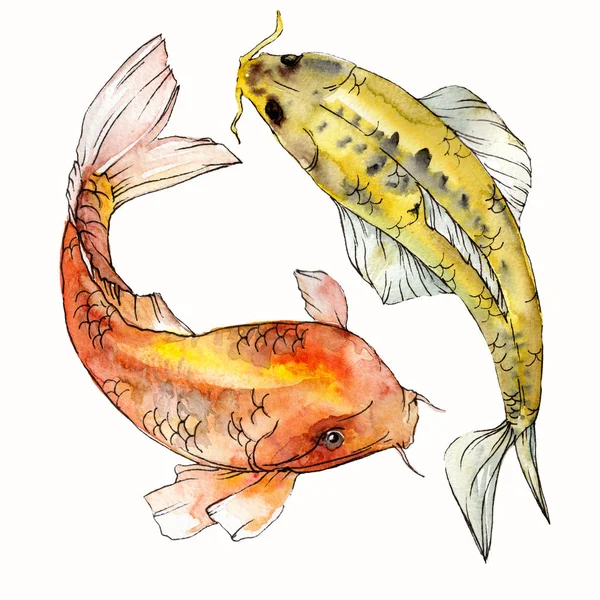 Suluboya su altı renkli tropikal balık seti. Kızıldeniz ve egzotik balıklar içinde: Goldfish İzole.