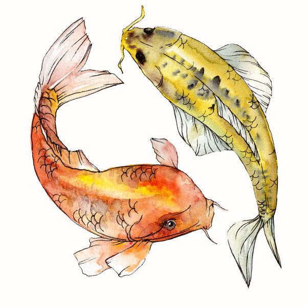 Watercolor aquatic underwater colorful tropical fish set. Red sea and exotic fishes inside: Goldfish Isolated.