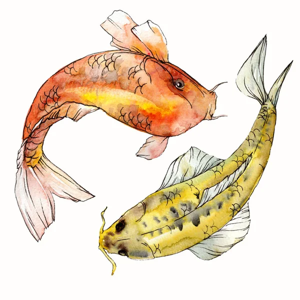 Vesiväri vedenalainen värikäs trooppisia kaloja asetettu. Punainen meri ja eksoottiset kalat sisällä: Kultakala eristetty . — kuvapankkivalokuva