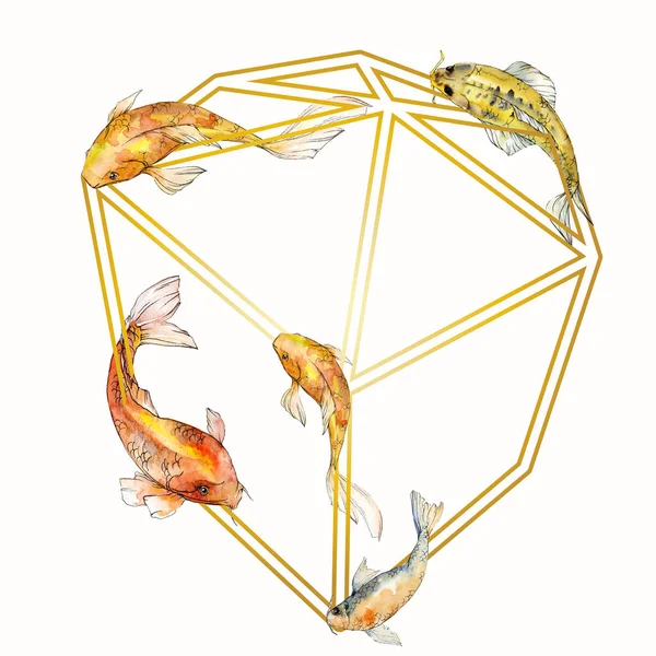 Suluboya su altı tropikal balık seti. Kızıldeniz ve egzotik balıklar içinde: Goldfish. Çerçeve kenar lığı karesi.