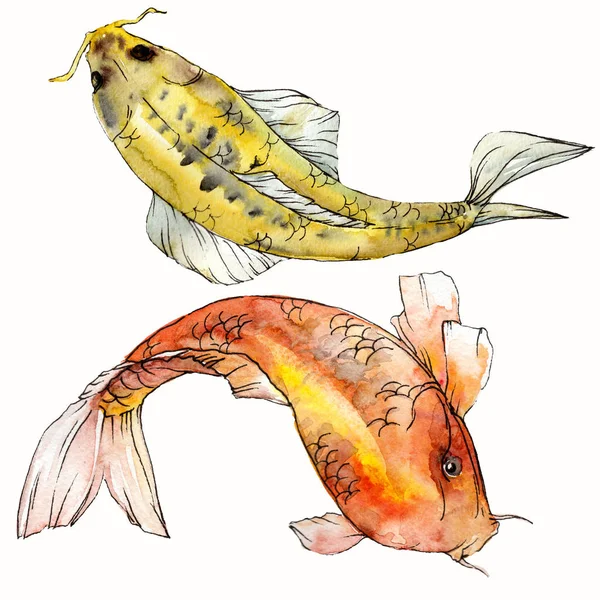 वॉटरकलर जलचर पाण्याखाली रंगीत उष्णकटिबंधीय मासे संच. आत लाल समुद्र आणि विदेशी मासे: गोल्डफिश पृथक् . — स्टॉक फोटो, इमेज