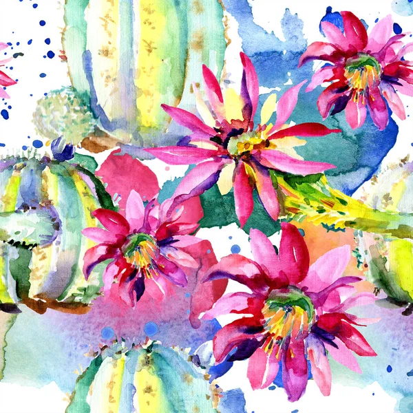 Un cactus vert. Fleur botanique florale. Feuille sauvage de printemps fleur sauvage isolée. Modèle de fond sans couture . — Photo