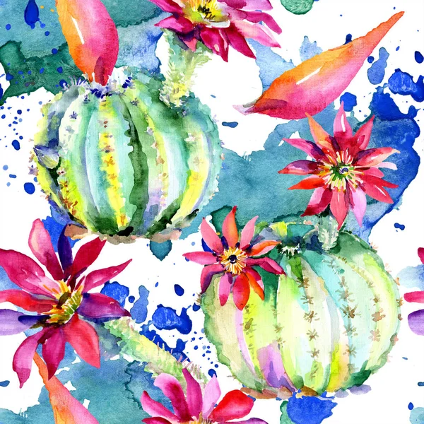 Yeşil kaktüs. Çiçek botanik çiçek. Yabani bahar yaprağı kır çiçeği izole. Kesintisiz arka plan deseni.