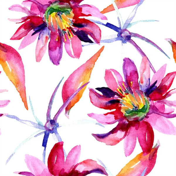 Yeşil kaktüs. Çiçek botanik çiçek. Yabani bahar yaprağı kır çiçeği izole. Kesintisiz arka plan deseni.