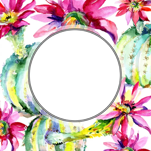 Yeşil kaktüs. Çiçek botanik çiçek. Çerçeve kenar lık süs karesi. Suluboya arka plan illüstrasyon seti.
