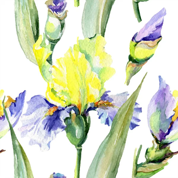 Iris amarillo púrpura. Flor botánica floral. Flor silvestre de hoja de primavera aislada. Conjunto de ilustración de fondo acuarela. Acuarela dibujo moda aquarelle aislado . — Foto de Stock