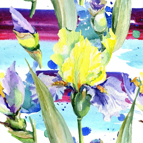 Purple yellow iris. Floral botanical flower. Wild spring leaf wildflower isolated. Watercolor background illustration set. Watercolour drawing fashion aquarelle isolated. — Stock Photo, Image