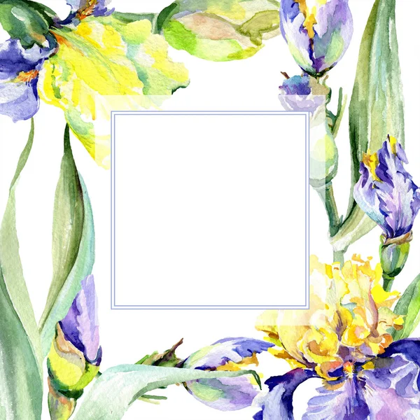 Fleur d'iris jaune pourpre. Ensemble d'illustration de fond aquarelle. Aquarelle dessin aquarelle. Cadre bordure carré . — Photo