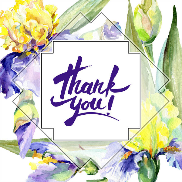 Purple yellow iris flower watercolor background. Watercolour drawing. Frame border square. Thank you handwriting.
