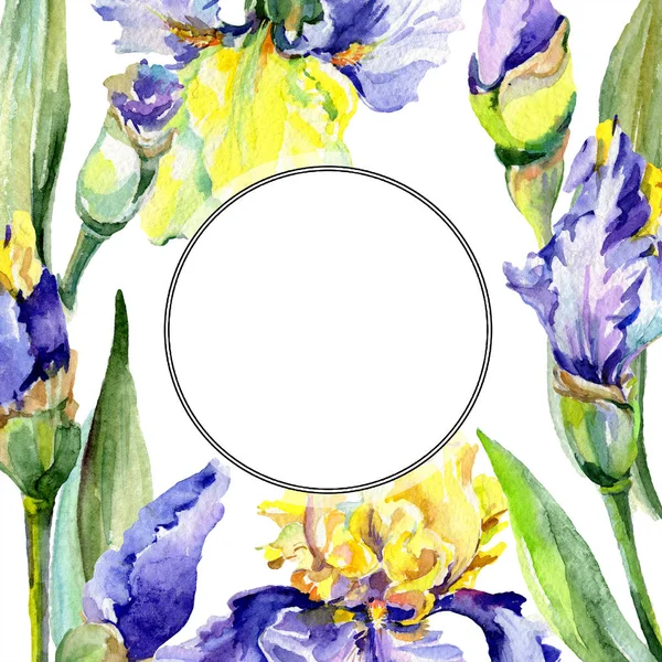Mor sarı iris çiçeği. Suluboya arka plan illüstrasyon seti. Suluboya çizim kova. Çerçeve kenar lığı karesi. — Stok fotoğraf