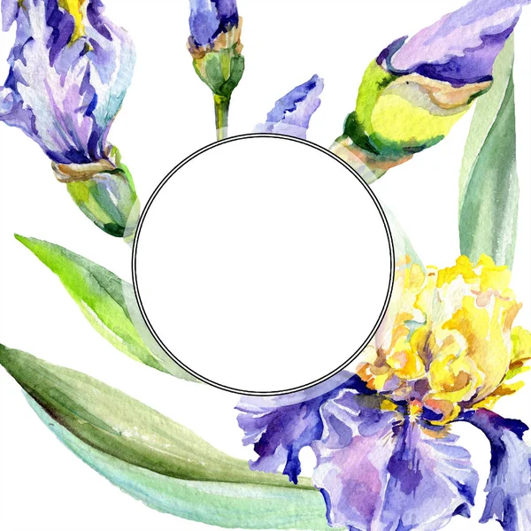Purple yellow iris flower. Watercolor background illustration set. Watercolour drawing aquarelle. Frame border square. — Stock Photo, Image