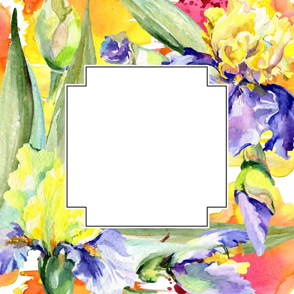 Fleur d'iris jaune pourpre. Ensemble d'illustration de fond aquarelle. Aquarelle dessin aquarelle. Cadre bordure carré . — Photo