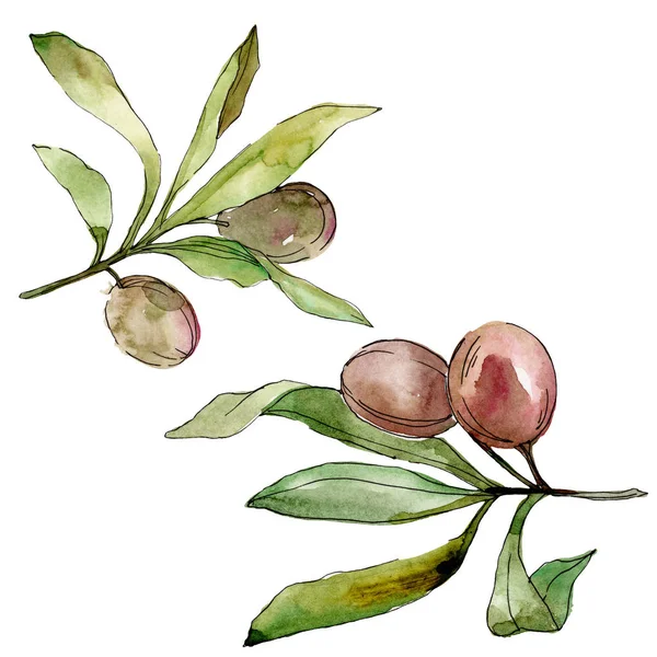 Black olives watercolor background set. Watercolour drawing fashion aquarelle. Isolated olives illustration element. — Stock Photo, Image