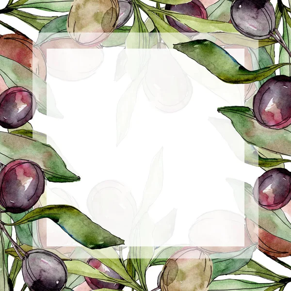 Black olives watercolor background illustration set. Watercolour drawing aquarelle green leaf. Frame border square. — Stock Photo, Image