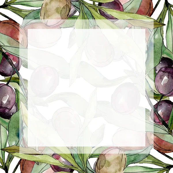 Black olives watercolor background illustration set. Watercolour drawing aquarelle green leaf. Frame border square. — Stock Photo, Image