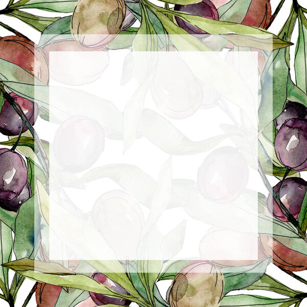 Black olives watercolor background illustration set. Watercolour drawing aquarelle green leaf. Frame border square.