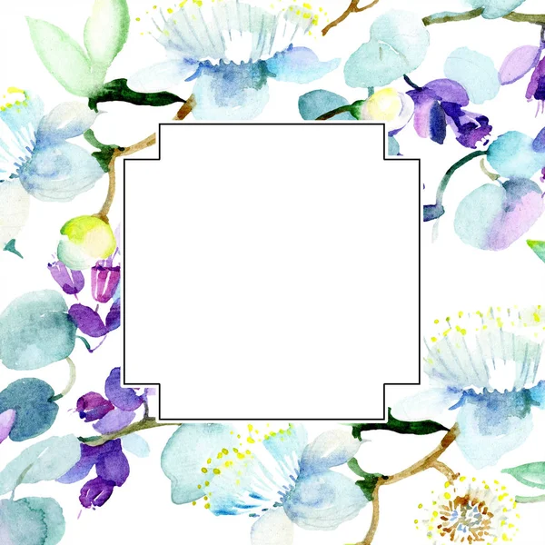 Boeket Bloemen Botanische Bloem Wild Voorjaar Blad Wildflower Geïsoleerd Aquarel — Stockfoto