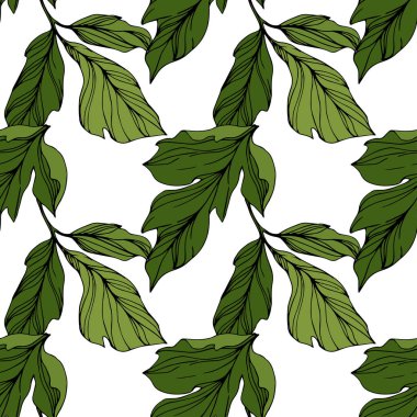 Vector Green leaf. Engraved ink art. Seamless background pattern. Fabric wallpaper print texture. clipart