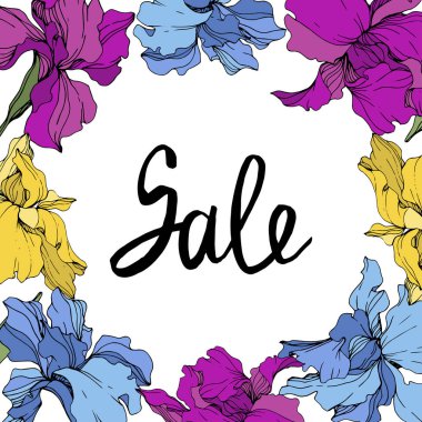 Vektör Mor, mavi ve sarı. Çiçek botanik çiçek. Yabani bahar yaprağı kır çiçeği izole. Çerçeve kenar lık süs karesi. Satılık el yazısı monografi kaligrafi.