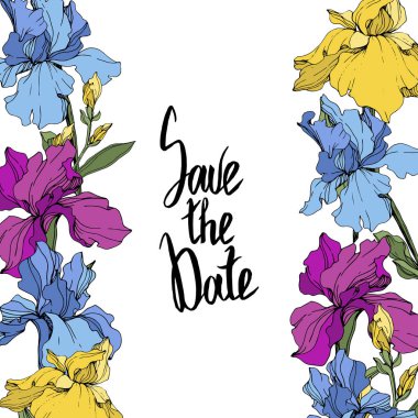 Vector Purple, blue and yellow. Floral botanical flower. Wild spring leaf wildflower isolated. Frame border ornament square. Save the Date handwriting monogram calligraphy. clipart