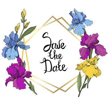 Vector Purple, blue and yellow. Floral botanical flower. Wild spring leaf wildflower isolated. Frame border ornament square. Save the Date handwriting monogram calligraphy. clipart
