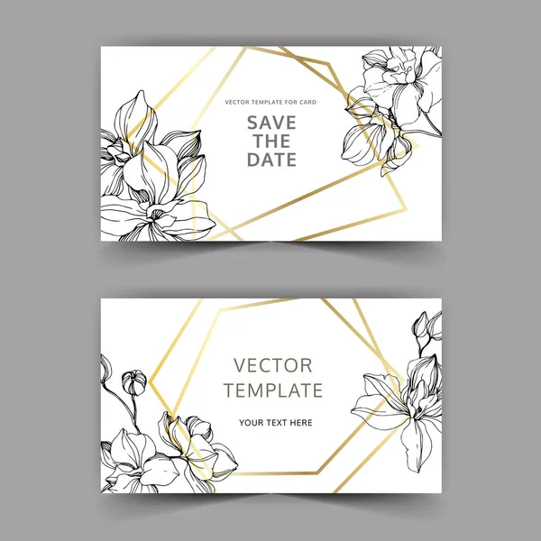 Vectoro Orchid flower. Engraved ink art. Wedding background border. Thank you, rsvp, invitation elegant illustration. — Stock Vector