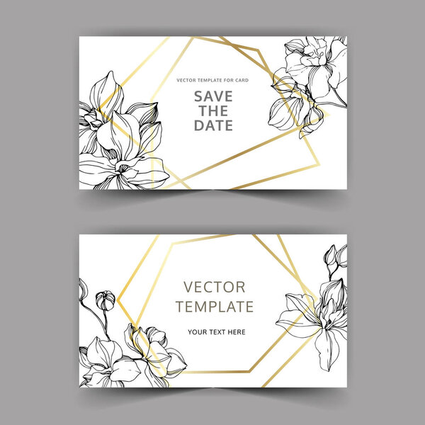 Vectoro Orchid flower. Engraved ink art. Wedding background border. Thank you, rsvp, invitation elegant illustration.