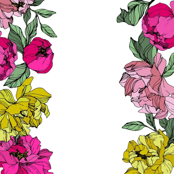 ベクトルピンクとイエローピオニー。花の植物の花。インクアートを彫刻。フレームボーダーオーナメント正方形. — ストックベクタ