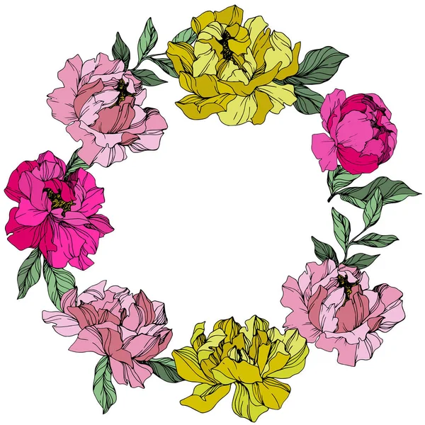 Vector rosa y amarillo peonía. Flor botánica floral. Arte de tinta grabada. Marco borde ornamento cuadrado . — Vector de stock