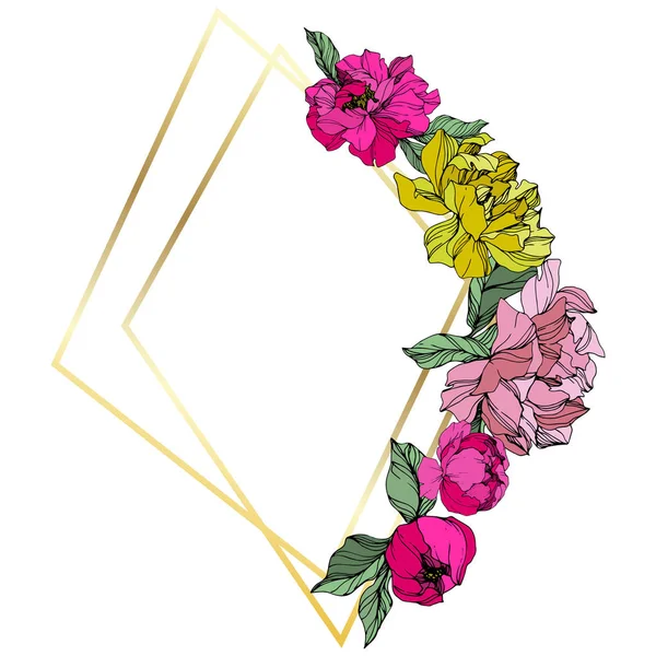 Vector Pink and yellow peony. Floral botanical flower. Engraved ink art. Frame border ornament square. — Stock Vector