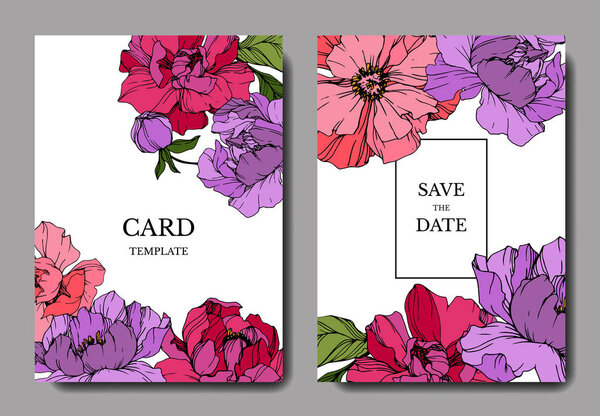 Vector Purple and pink peony. Engraved ink art. Wedding background card. Thank you, rsvp, invitation card.