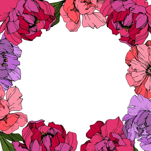 Vector peonía rosa y púrpura. Flor botánica floral. Arte de tinta grabada. Marco borde ornamento cuadrado . — Vector de stock