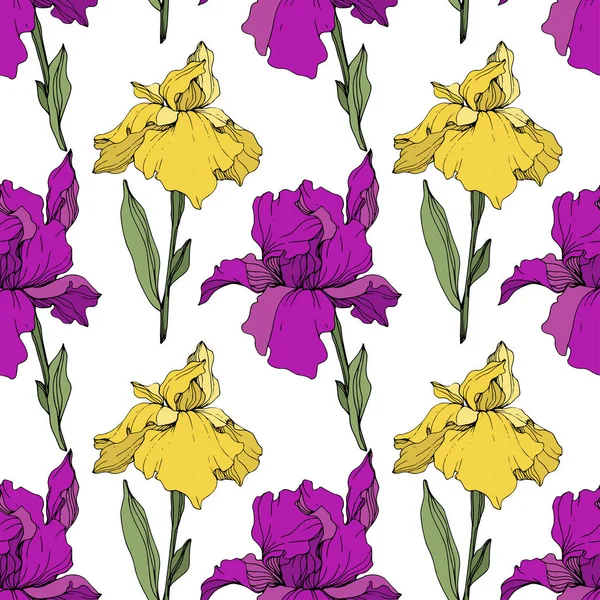 矢量紫色 黄色和蓝色虹膜 花卉植物花 野生春叶野花分离 雕刻油墨艺术 无缝的背景模式 织物壁纸打印纹理 — 图库矢量图片