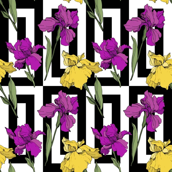 Vector Iris Púrpura Amarillo Azul Flor Botánica Floral Flor Silvestre — Vector de stock