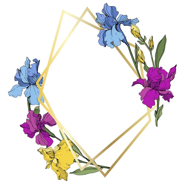 Vektor Violette Blaue Und Gelbe Iris Blütenbotanische Blume Wildes Frühlingsblatt — Stockvektor