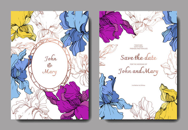 Vector Blue, purple and yellow iris botanical flower. Engraved ink art. Wedding background card floral decorative border. Thank you, rsvp, invitation elegant card illustration graphic set banner.