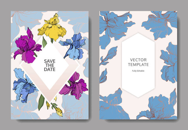 Vector Blue, purple and yellow iris botanical flower. Engraved ink art. Wedding background card floral decorative border. Thank you, rsvp, invitation elegant card illustration graphic set banner.