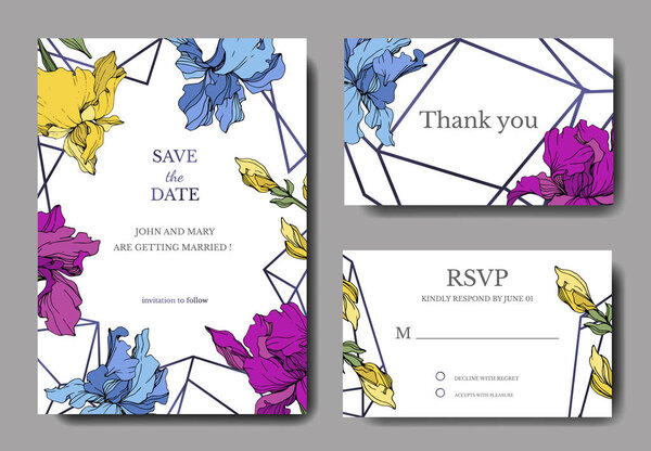 Vector Blue, purple and yellow iris botanical flower. Engraved ink art. Wedding background card floral decorative border. Thank you, rsvp, invitation elegant card illustration graphic set banner.