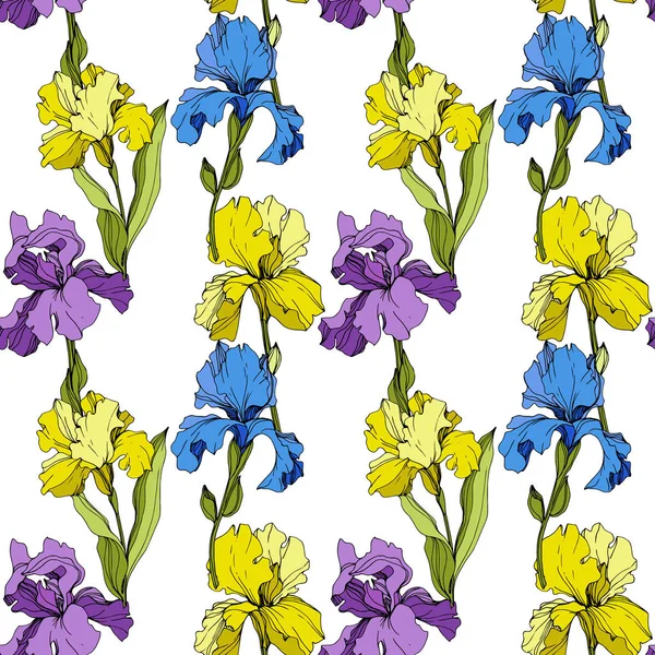 Vector Iris flor botánica floral. Patrón de fondo sin costuras. Textura de impresión de papel pintado de tela . — Vector de stock