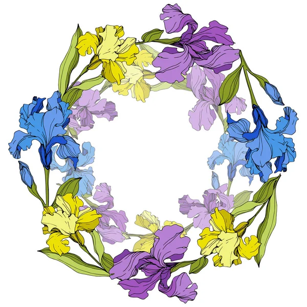 Vector Flor botánica floral de iris púrpura, amarilla y azul. Arte de tinta grabada. Marco borde ornamento cuadrado . — Vector de stock