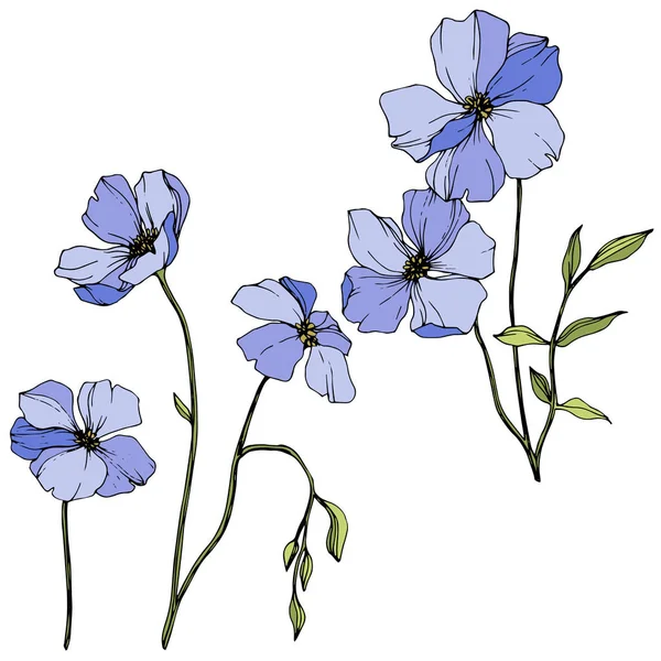 Vector blauwe vlas bloemen botanische bloem. Wilde Lente blad Wildflower. Gegraveerde inkt kunst. Geïsoleerde vlas illustratie element. — Stockvector