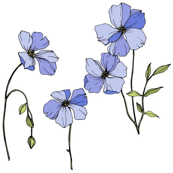 Διάνυσμα μπλε λινάρι floral βοτανικό λουλούδι. Άγριο λουλούδι φύλλων ελατηρίου. Χαραγμένη τέχνη μελανιού. Απομονωμένο στοιχείο απεικόνισης λίνου. — Διανυσματικό Αρχείο