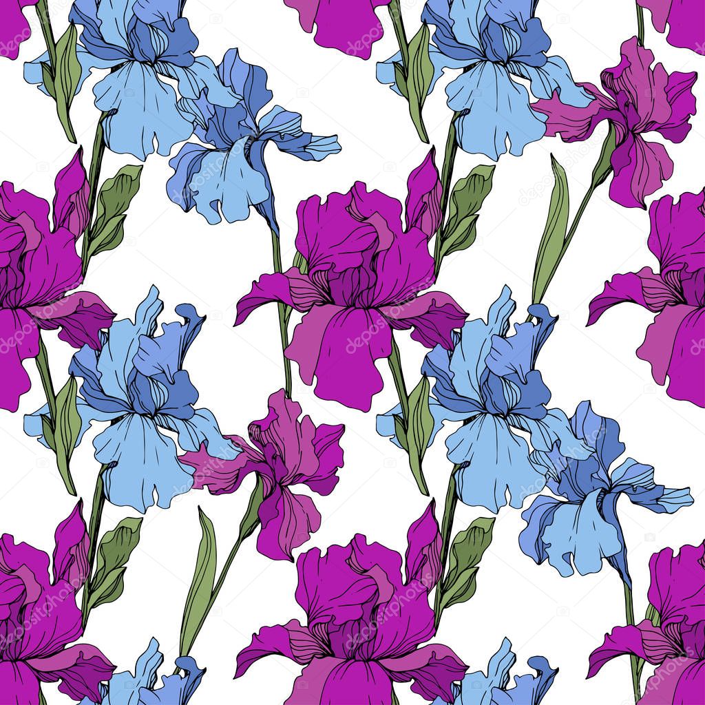 Vector Purple, yellow and blue iris. Floral botanical flower. Wild spring leaf wildflower isolated. Engraved ink art. Seamless background pattern. Fabric wallpaper print texture.