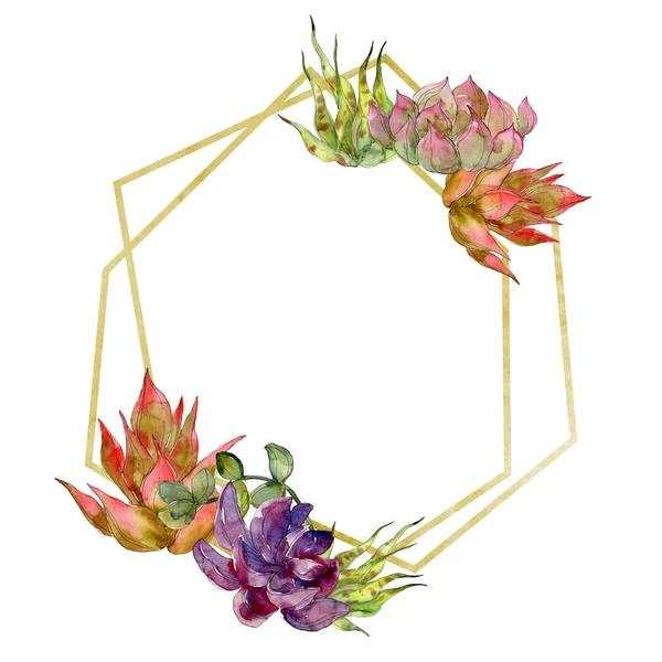 Jungle botanical succulen floral botanical flower. Wild spring leaf wildflower isolated. Watercolor background illustration set. Watercolour drawing fashion aquarelle. Frame border ornament square.