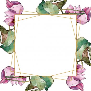 Lotus çiçek botanik çiçekler. Yabani bahar yaprağı kır çiçeği izole. Suluboya arka plan illüstrasyon seti. Suluboya çizim moda aquarelle izole. Çerçeve kenar kristal süs kare.
